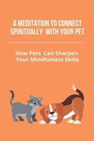 A Meditation To Connect Spiritually With Your Pet