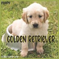 Golden Retriever Puppy Calendar 2022: Official Golden Retriever Dog Calendar 2022 16 Months