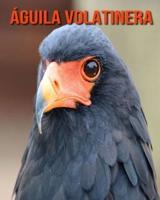 Águila volatinera:  Libro para niños con imágenes asombrosas y datos curiosos sobre los Águila volatinera