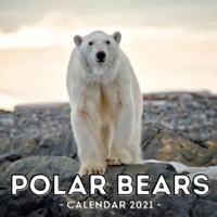 Polar Bears Calendar 2021: 16-Month Calendar, Cute Gift Idea For Bear Lovers Women & Men