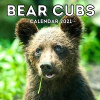 Bear Cubs Calendar 2021: 16-Month Calendar, Cute Gift Idea For Newborn Bear Lovers Women & Men