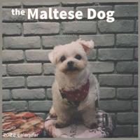 The Maltese Dog 2022 Calendar