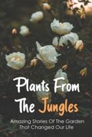 Plants From The Jungles