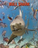 Bull Shark: Amazing Facts & Pictures