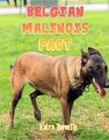 Belgian Malinois Fact