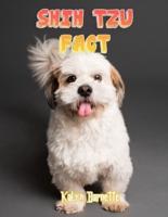 Shih Tzu Fact