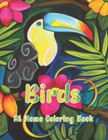 Birds At Home Coloring Book: For Adult Featuring Relaxing Birds Like Eagles, Hawks, Hummingbirds, Blackbird, Parrots, Bluebird, Macaw and More!