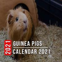 Guinea Pigs Calendar 2021: 12 Month Mini Calendar from Jan 2021 to Dec 2021, Cute Gift Idea   Pictures in Every Month