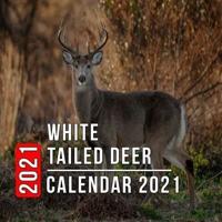White Tailed Deer Calendar 2021: 12 Month Mini Calendar from Jan 2021 to Dec 2021, Cute Gift Idea   Pictures in Every Month
