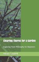 Clearing Thorns for a Garden: Exploring Flash Philosophy for Beginners
