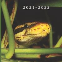 2021 - 2022