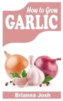 HOW TO GROW GARLIC: The complete guide on how to grow garlic without hassle