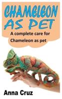 CHAMELEON AS PET: A COMPLETE CARE FOR CHAMELEON AS PET