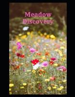 Meadow Discovery