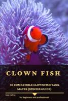 Clown Fish