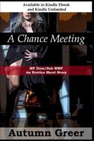 A Chance Meeting: : MF Dom/Sub MMF An Erotica Short Story