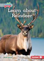 Learn About Reindeer
