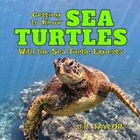 Getting to Know Sea Turtles: With the Sea Turtle Experts