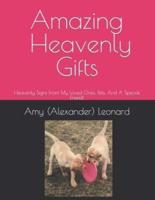 Amazing Heavenly Gifts: Heavenly Signs From My Loved Ones, Pets, And A Special Friend!
