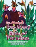The Almost True Story of Birds of Paradise