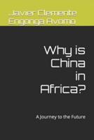 Why is China in Africa?: A Journey to the Future