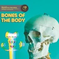 The Bones Of The Body