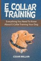 E-Collar Training: Everything You Need To Know About E-Collar Training Your Dog