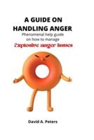 A guide on handling anger: Phenomenal help guide on how to manage explosive anger issues.