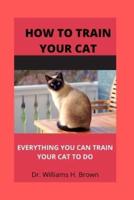 How to train your cat: Everything you can train your cat to do