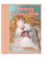 Animals Picture Book - age 2-6