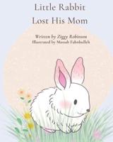 Little Rabbit Lost His Mom