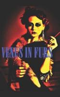 Venus in Furs (new translation)