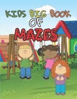 Kids Big Book of Mazes