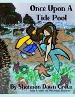 Once Upon a Tide Pool