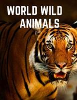 World Wild Animals