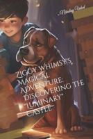 Ziggy Whimsy's Magical Adventure