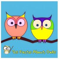 25 Facts About Owls