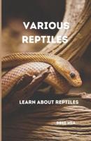 Various Reptiles
