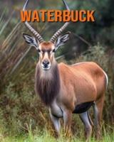 Waterbuck