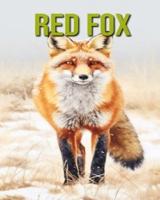 Red Fox