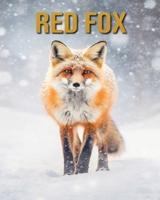 Red Fox