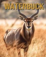 Waterbuck