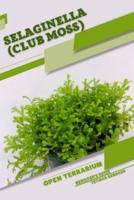 Selaginella (Club Moss)