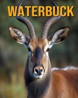 Waterbuck