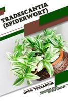 Tradescantia (Spiderwort)