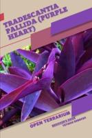 Tradescantia Pallida (Purple Heart)