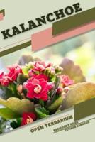 Kalanchoe