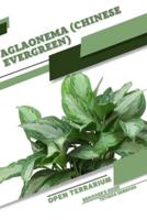 Aglaonema (Chinese Evergreen)