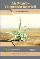 Air Plant - Tillandsia Harrisii