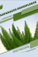 Asparagus Densiflorus